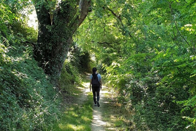 Omgaan met de levende erfenis van je jeugd • Het Verdwenen Zelf